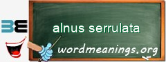 WordMeaning blackboard for alnus serrulata